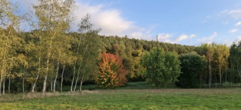 Activité de Loisirs Saint-Bonnet-Tronçais