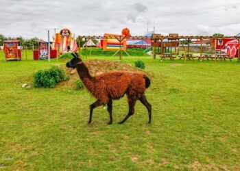 © DR / Cirque Paradiso (Le Parc)